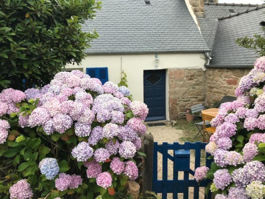 Charmante Maison De Pecheurs Trébeurden Exterior foto